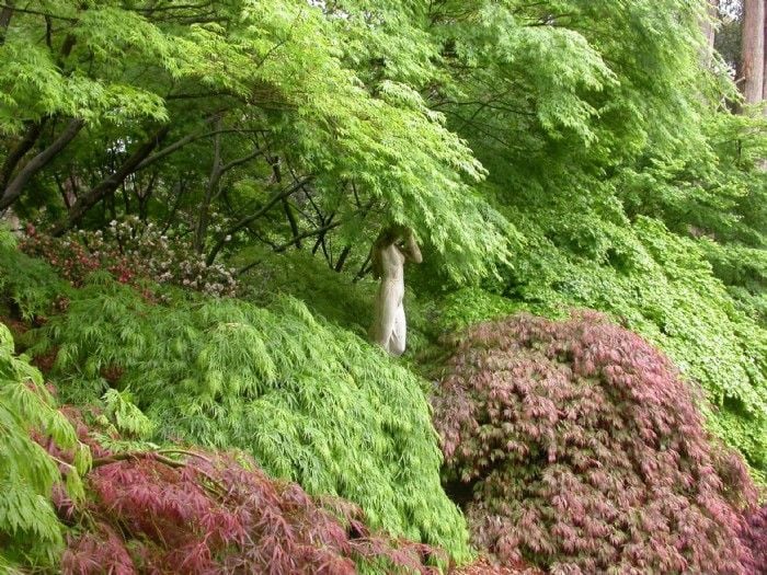 Connect Coaches Garden Tours Image -62b992db12be9